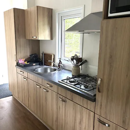 De Winterkoning * Nunspeet