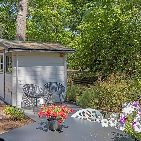 De Winterkoning شاليه