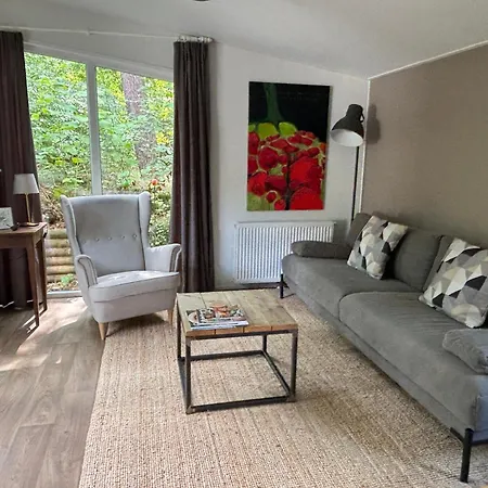 De Winterkoning Chalet *