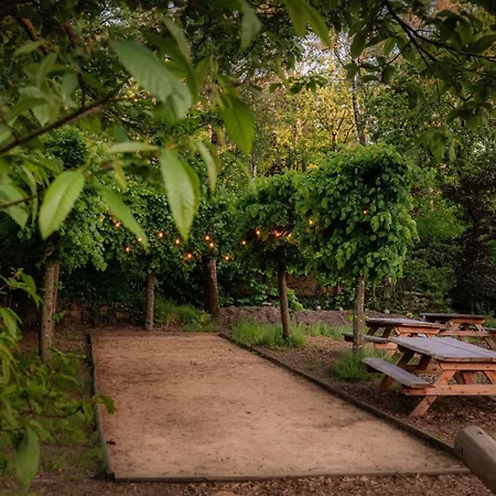 شاليه De Winterkoning *