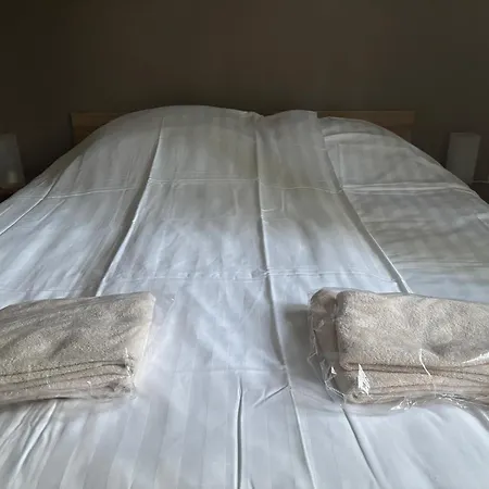 De Winterkoning