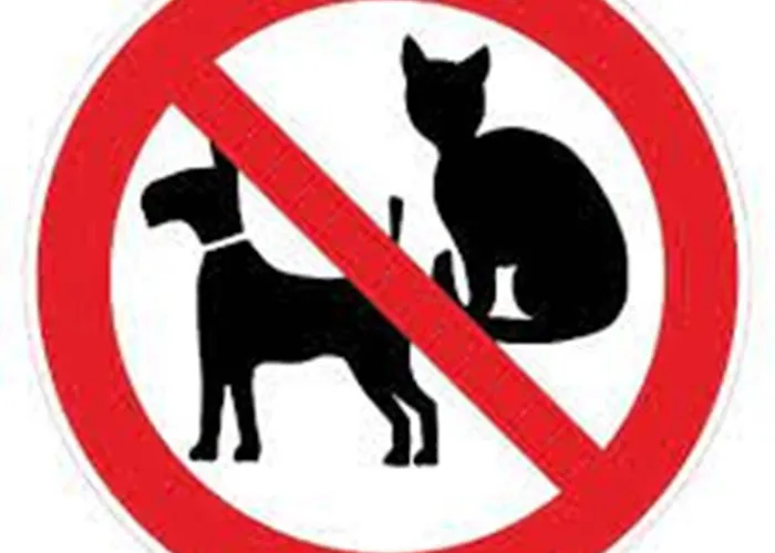 Domek alpejski De Winterkoning *