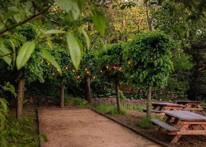 Domek alpejski De Winterkoning *