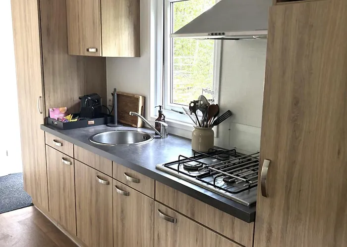 De Winterkoning * Nunspeet